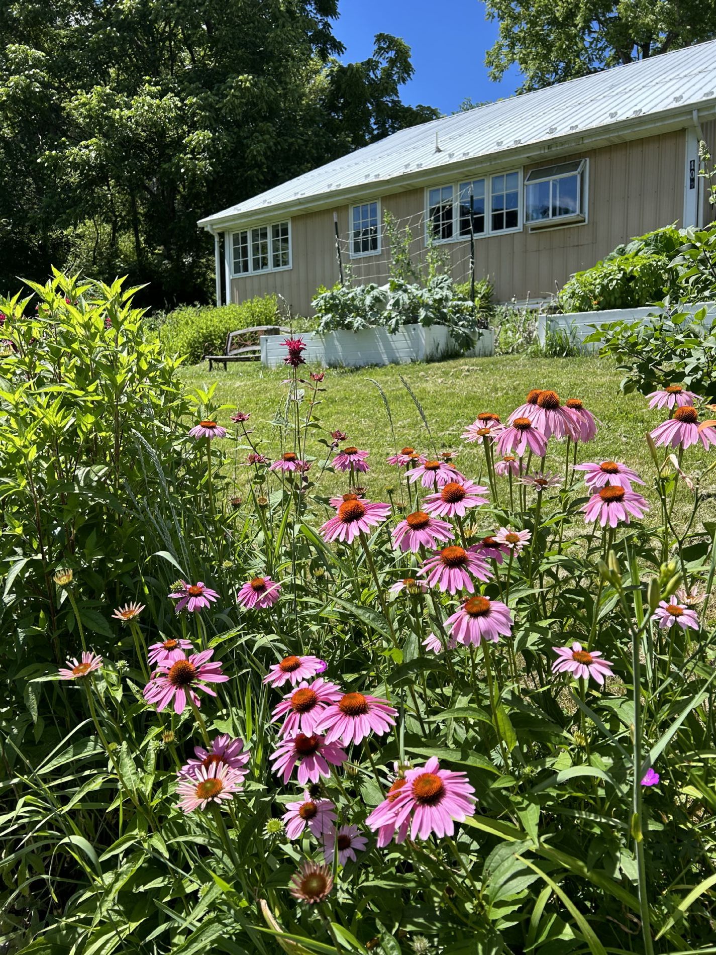 Landscaped Garden with Raised Beds