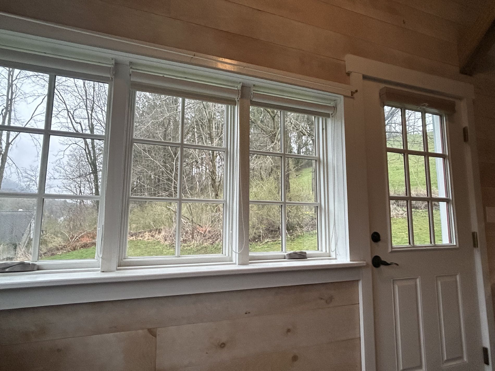 View of Woods From Apartment